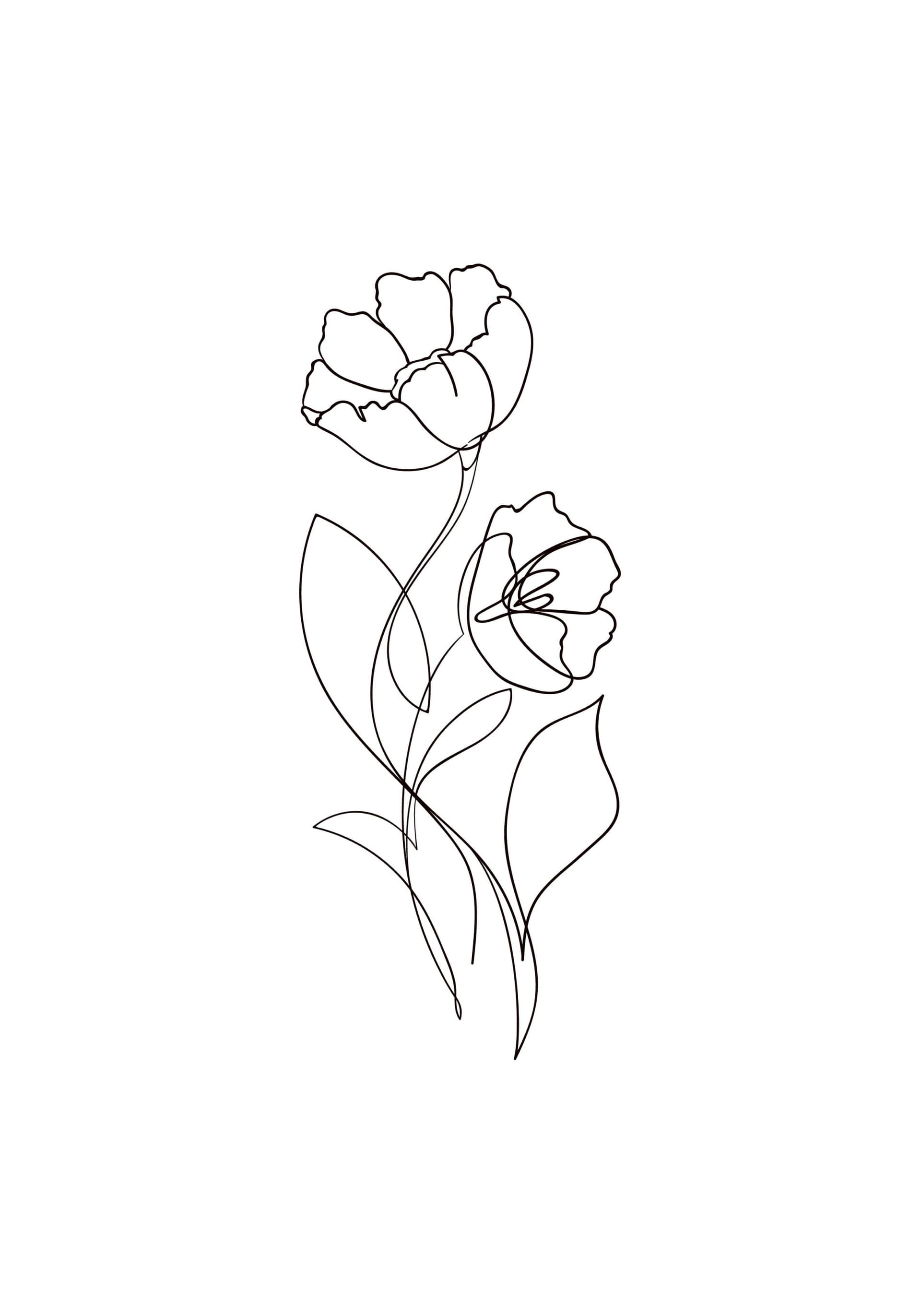 Flower Lines No1 Print