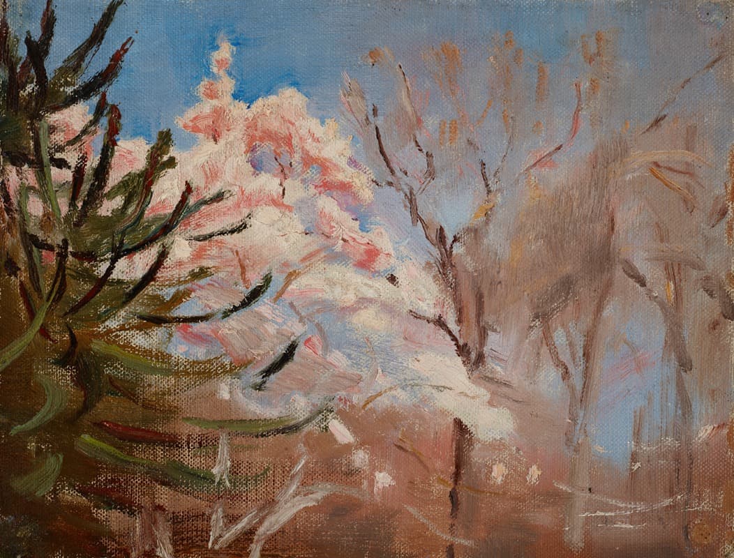 Судак (Весна)