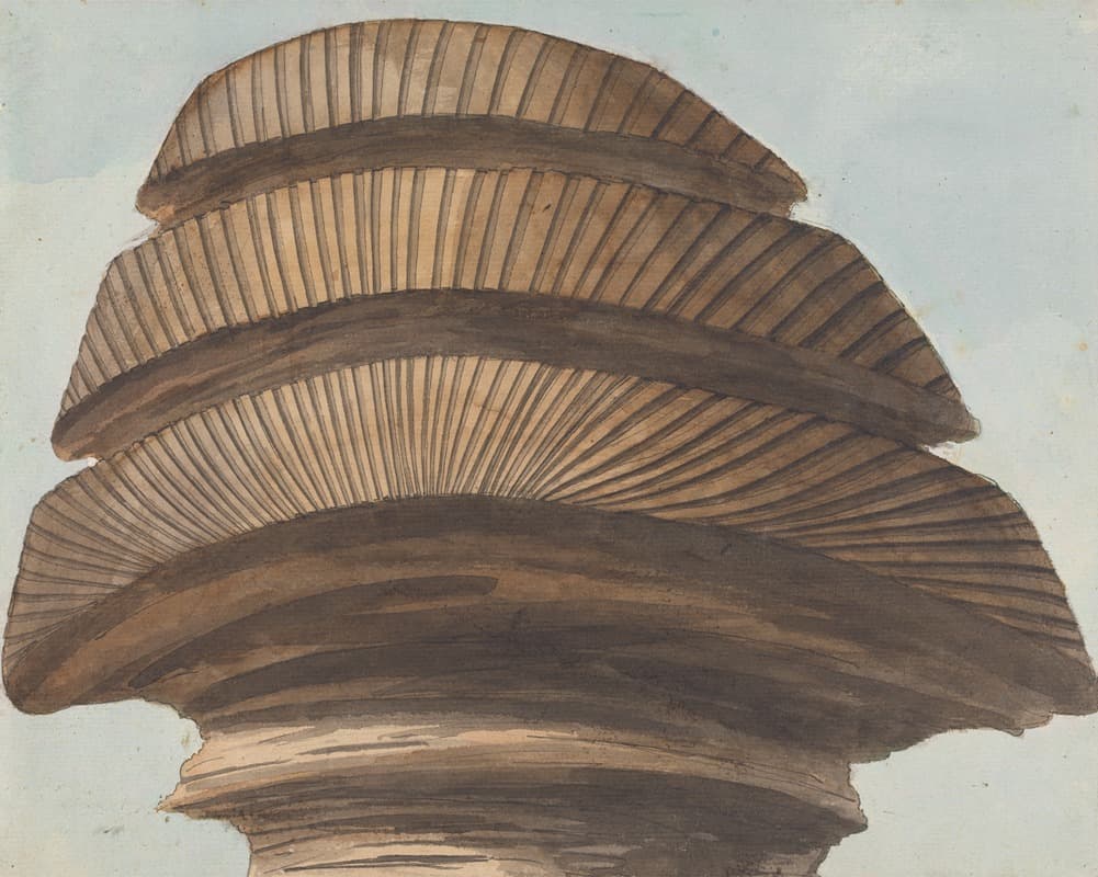 Задний вид головы сфинкса