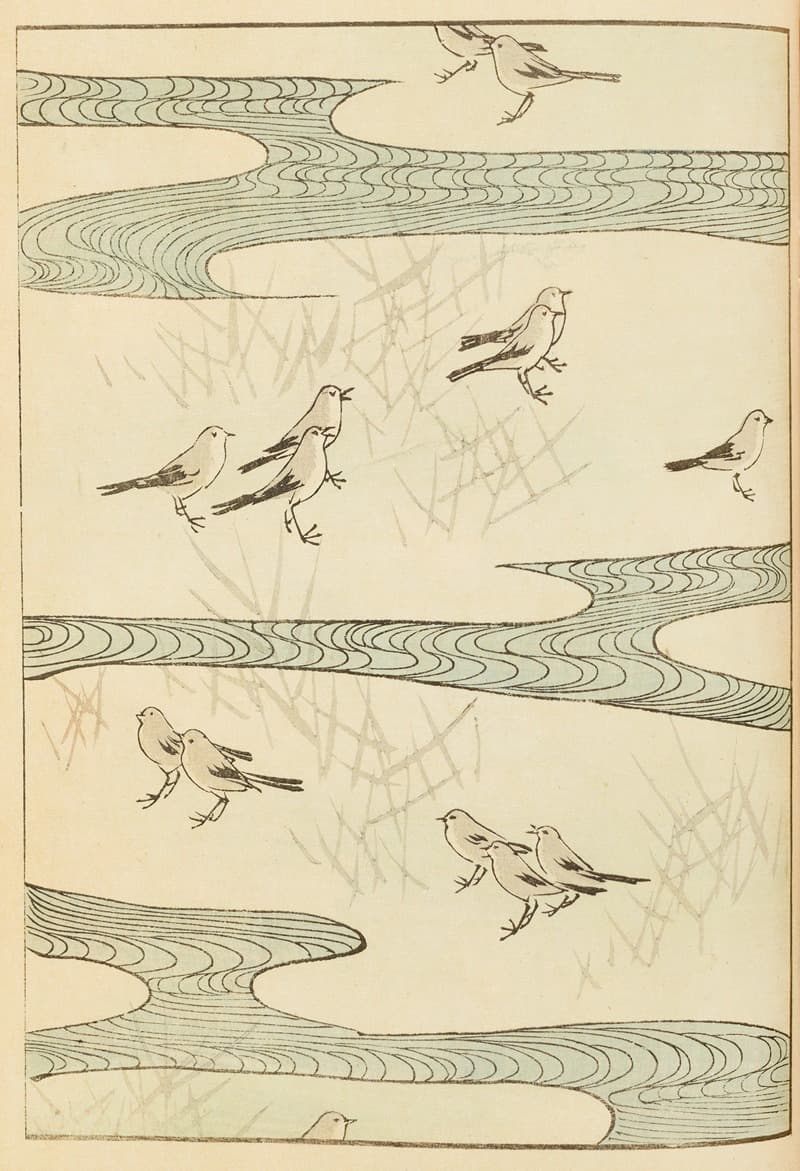 Шин-Бидзюцукаи, пл. 219