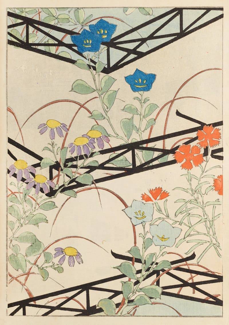 Шин-Бидзюцкай пл. 264