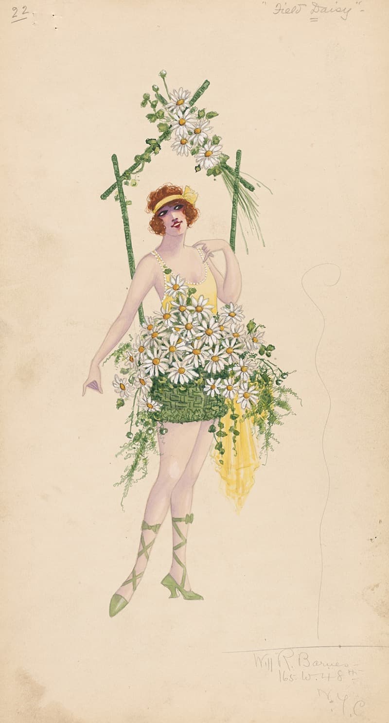 22-полевой ромашка