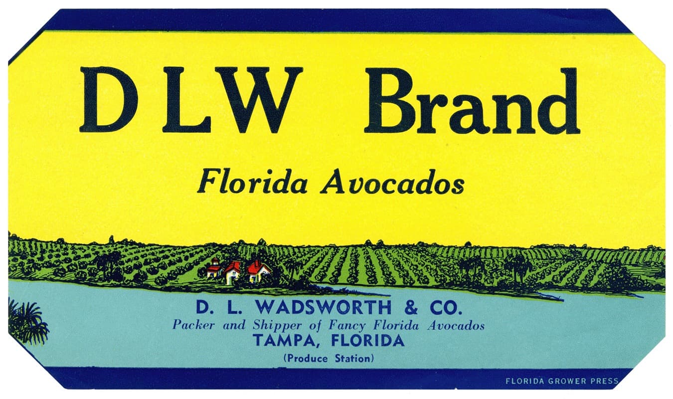 Этикетка авокадо DLW Brand Florida