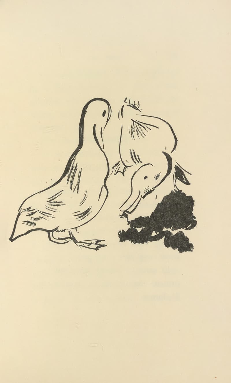 Природные истории Пл.07