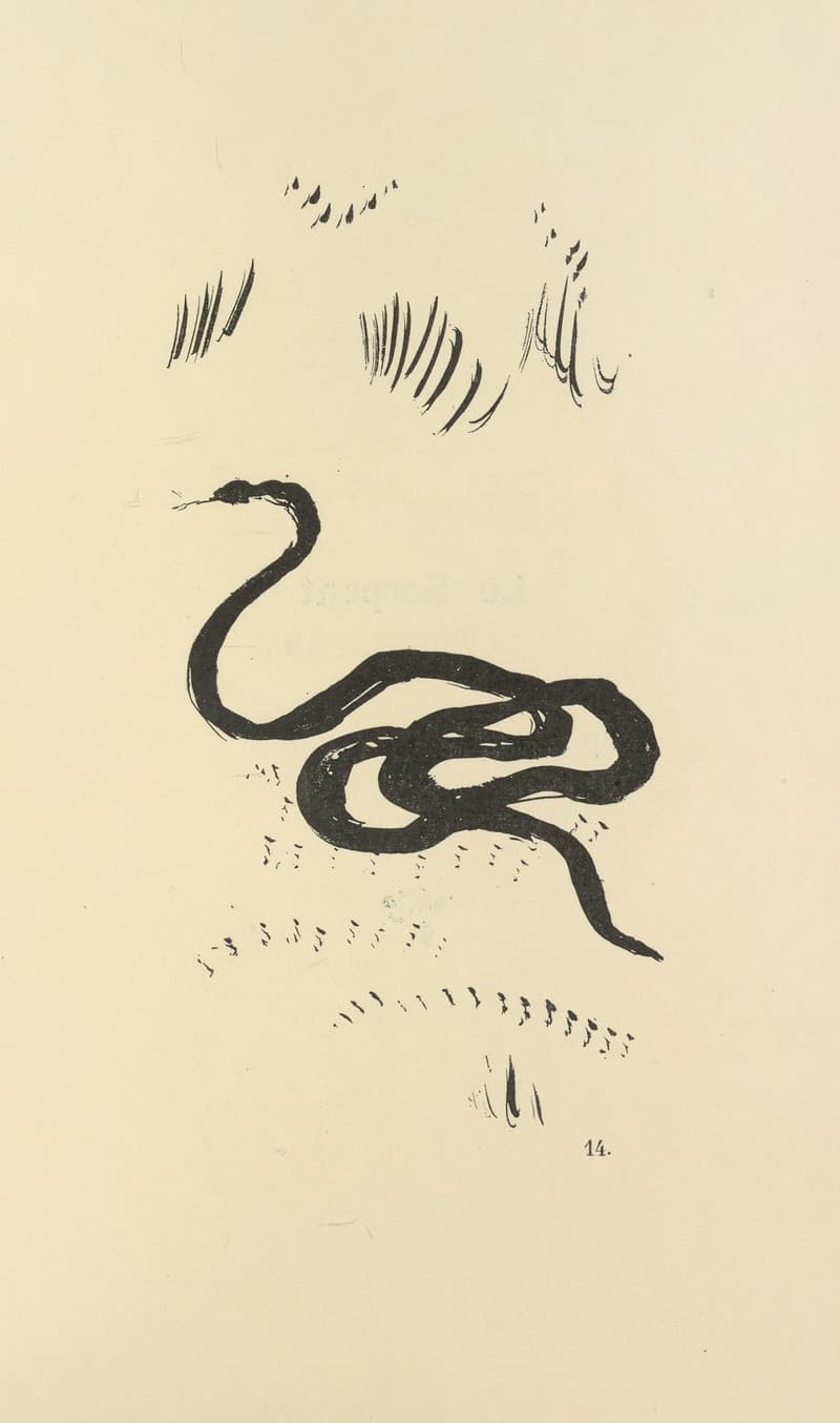 Природные истории Пл 30