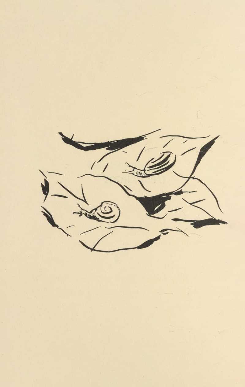 Природные истории Пл.31