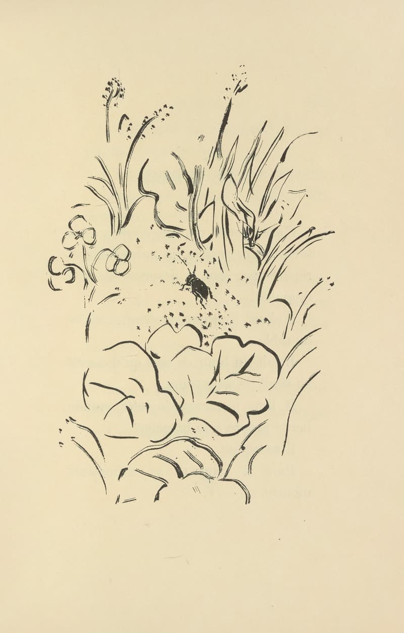 Природные истории Пл. 40