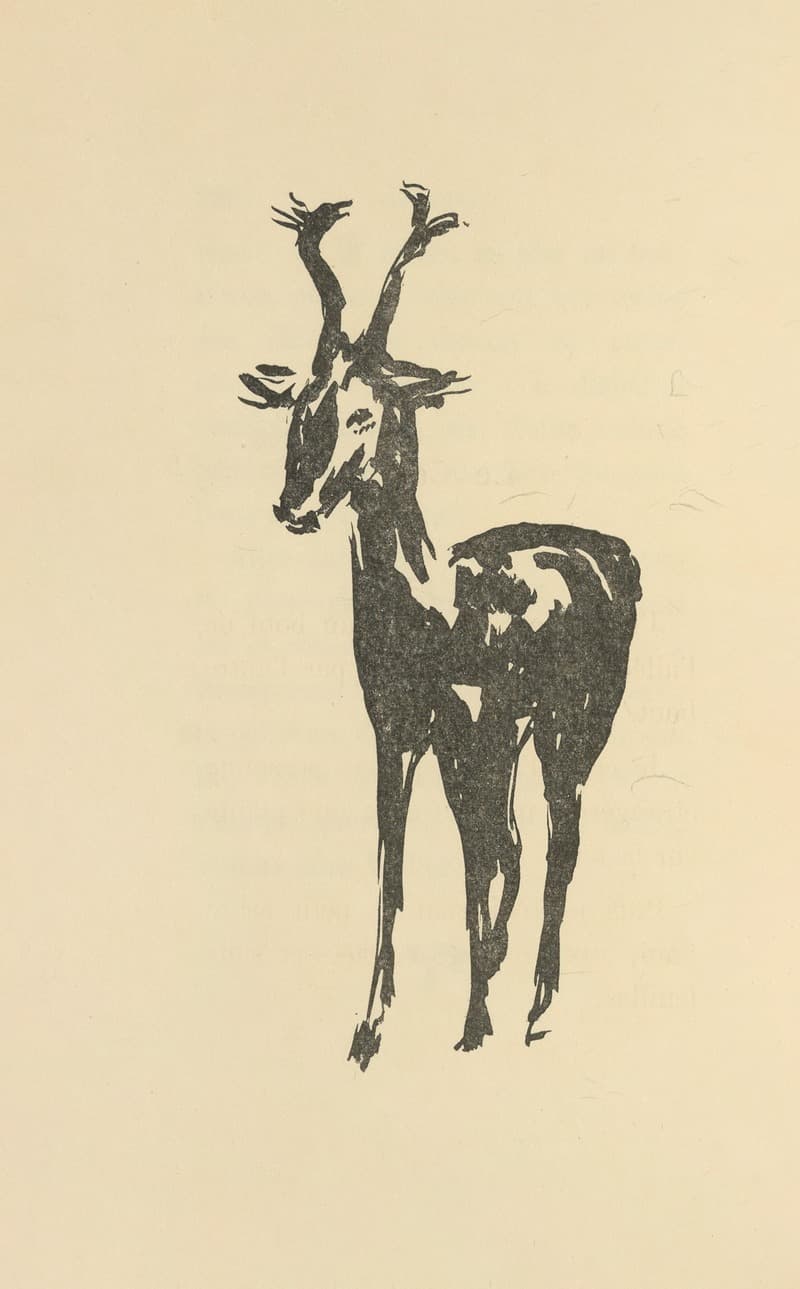 Природные истории Пл.46