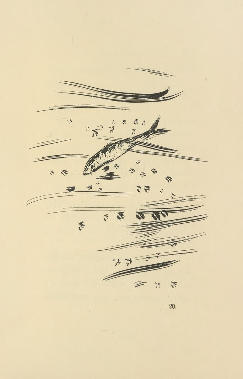 Природные истории Пл.47