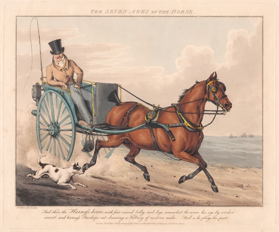 Семь возрастов лошади