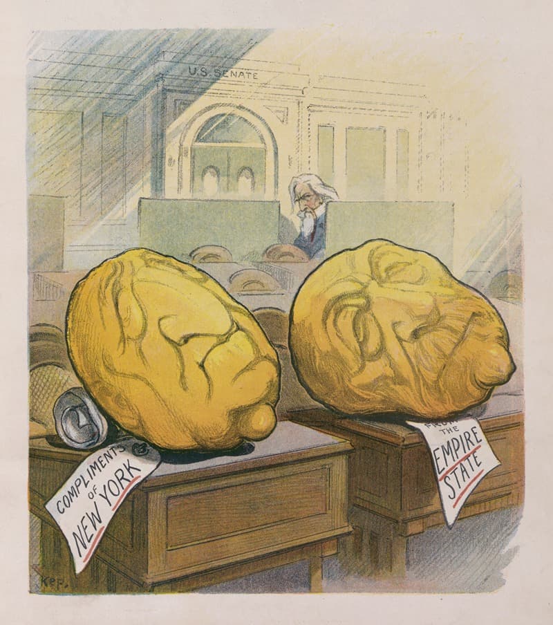 Разновидность с толстой кожей