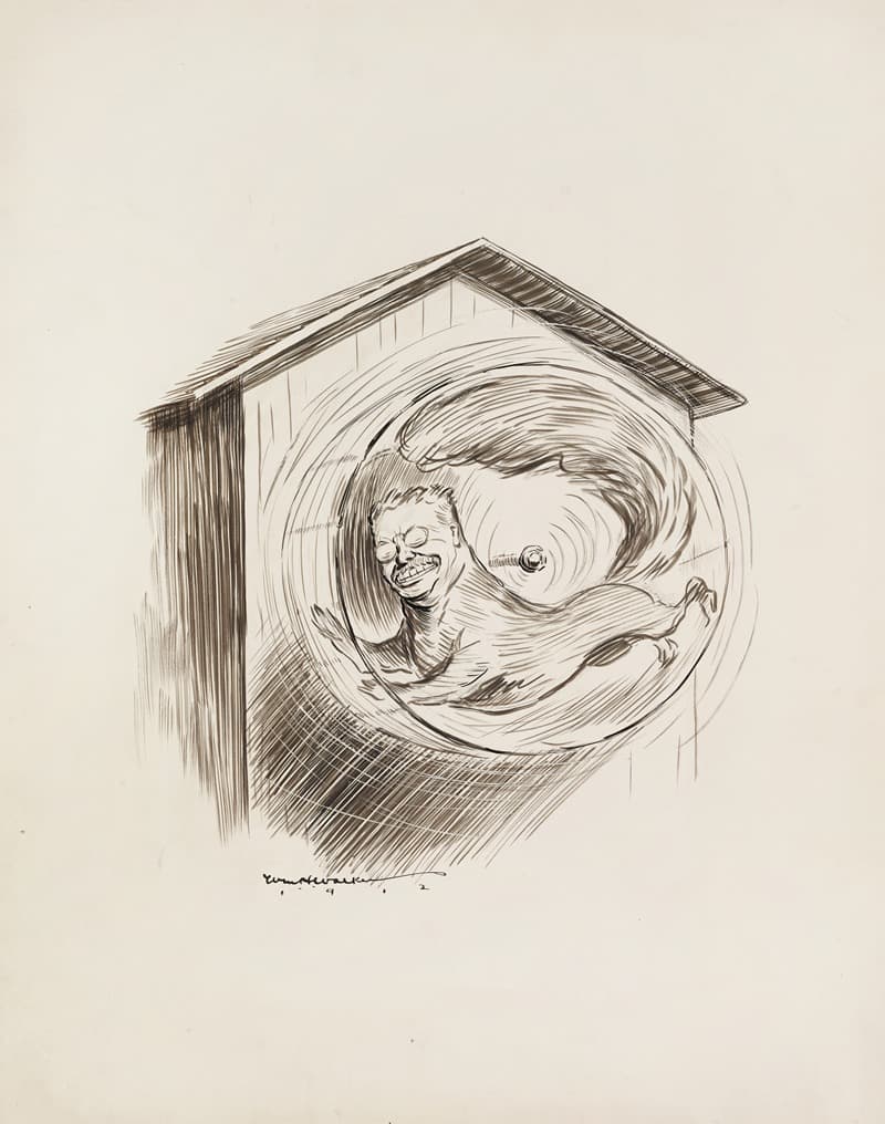 Клетка для белки