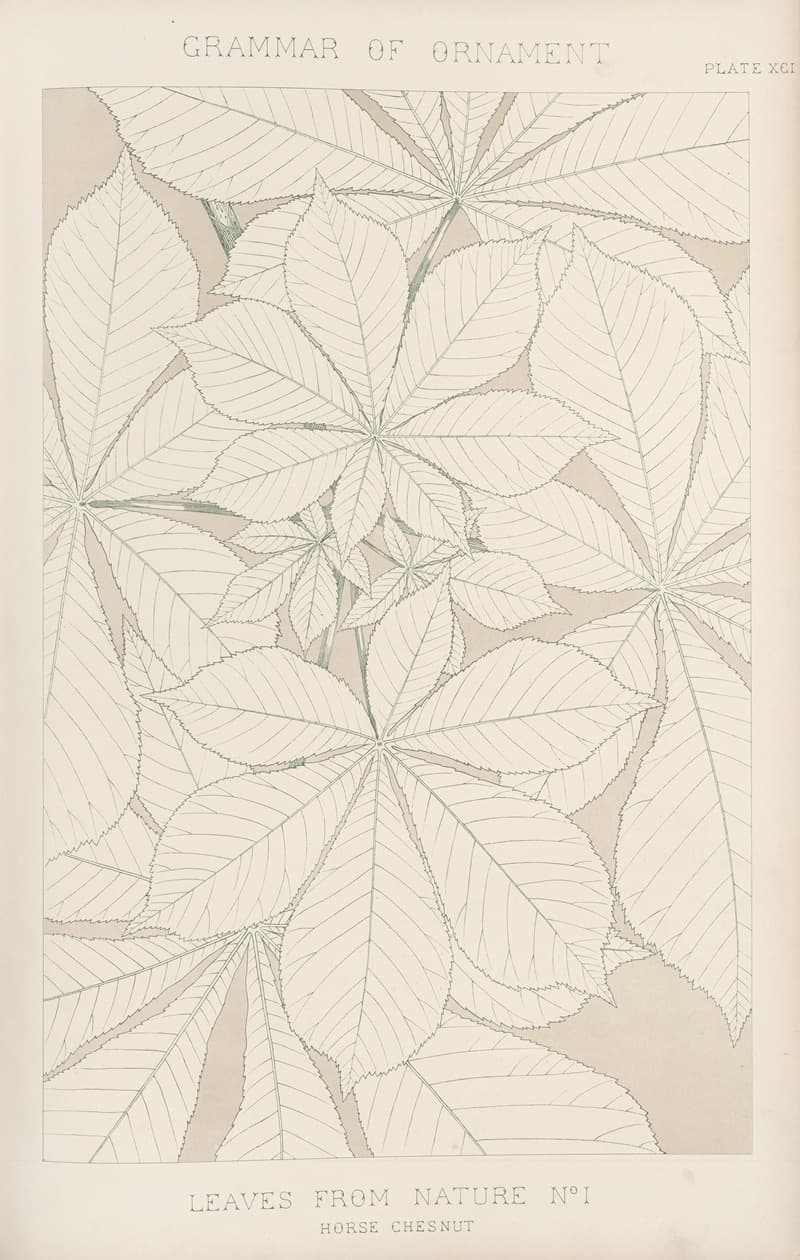 Листья из природы № 1