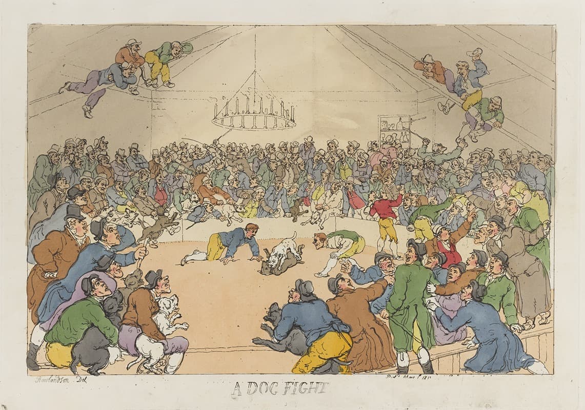 Собачьи бои