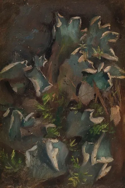 Lichen by Torsten Wasastjerna, 1895 - 1896 — digital art print download