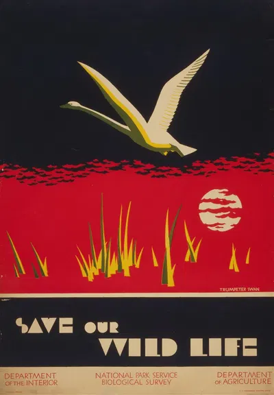 Save our wild life by Dorothy Waugh, 1930-1940 — digital art print download