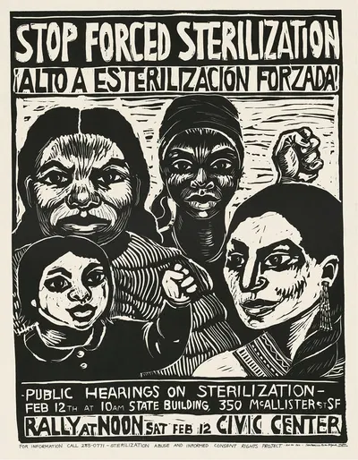Stop forced sterilization by Rachael Romero, 1977 — digital art print download
