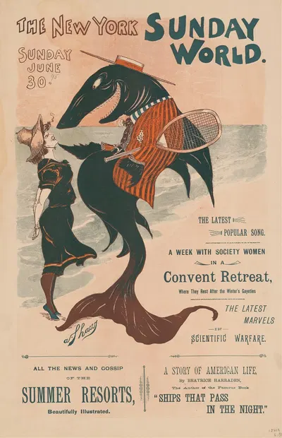 The New York Sunday World, Sunday June 30 by A. Shaw, 1895 — digital art print download