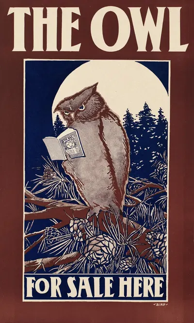 The owl for sale here by Elisha Brown Bird — digital art print download