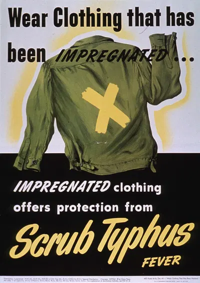 Scrub typhus fever by United States War Department, 1945 — digital art print download