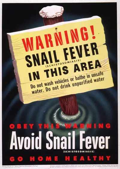 Warning–snail fever (schistosomiasis) in this area by United States War Department, 1945 — digital art print download