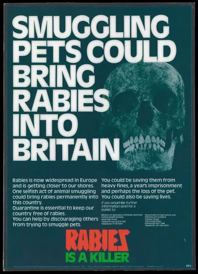 Smuggling pets could bring rabies into Britain by Ministry of Agriculture, Fisheries and Food, 1977 — digital art print…