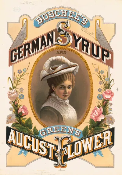 Boschee's German syrup and Green's August flowers by Wells & Hope Co., 1878 — digital art print download