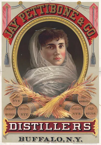 Jay Pettibone & Co., distillers, Buffalo, N.Y. by Wells & Hope Co., 1878 — digital art print download