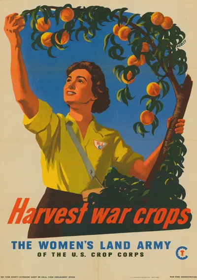 Harvest War Crops by War Food Administration, 1945 — digital art print download