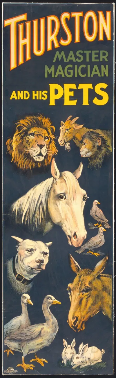 Thurston, master magician and his pets by The Otis Lithograph Co., 1898 — digital art print download