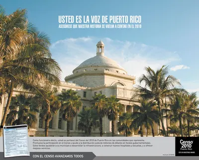 Puerto Rico Political Representation Poster by Bureau of the Census, 2010 — digital art print download