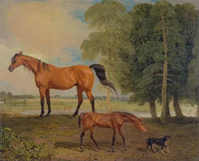 Broodmare With Foal, And A Terrier by Benjamin Marshall, 1822 — digital art print download