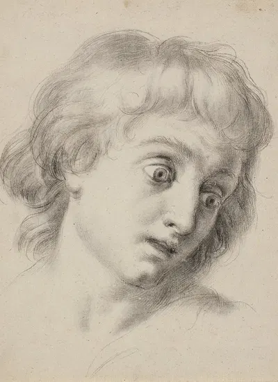 Head of a boy by Antonio Cavallucci, 1750 – 1794 — digital art print download
