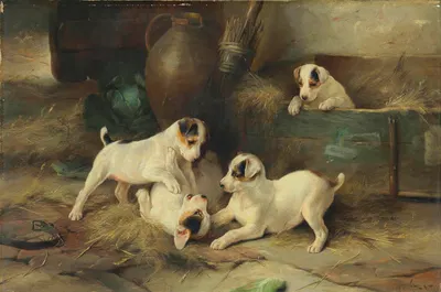 Four Puppies at Play by Walter Hunt, 1903 — digital art print download
