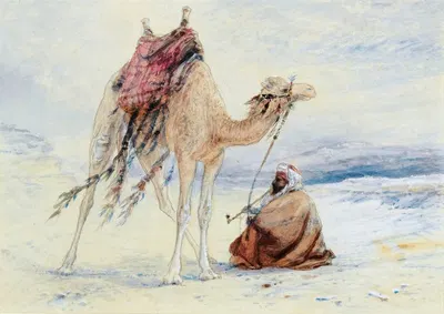 Араб с верблюдом by Илайджа Уолтон, 1834 — digital art print download