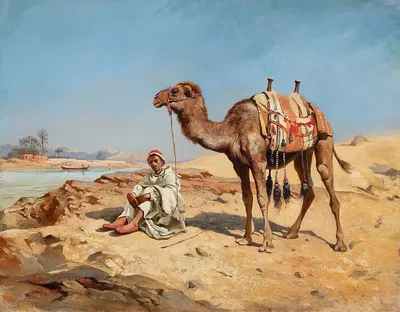 Араб в пустыне by Тадеуш Айдукевич, 1885 — digital art print download