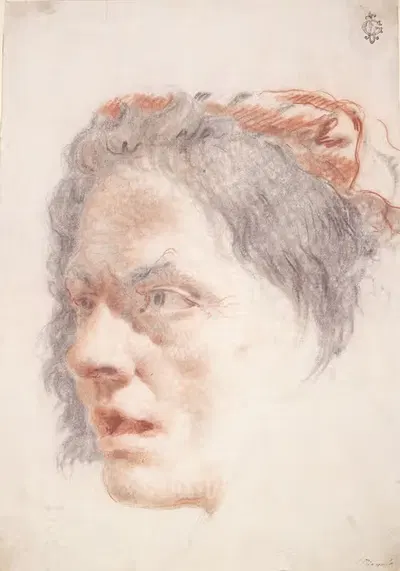 Head of a Woman by Lorenzo Baldissera Tiepolo — digital art print download