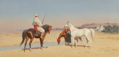 Пустынный всадник by Джон Александр Харингтон Берд, 1905 — digital art print download