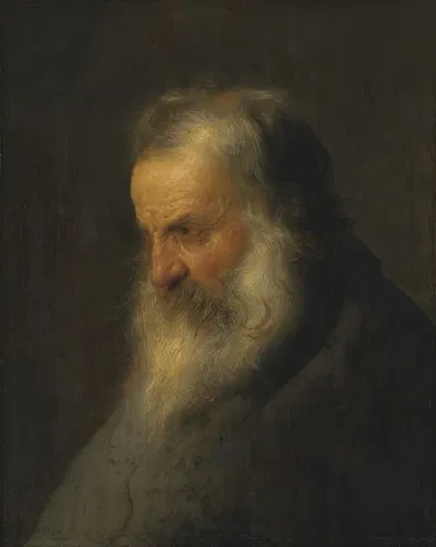 Head of a bearded man by Jan Lievens — digital art print download