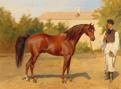 Racehorse with Hungarian Groom by Wilhelm Richter — digital art print download
