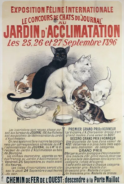 Exposition Feline Internationale Le Concours De Chats Du Journal Au Jardin D'acclimatation by Огюст Рёдель, 1896 — digital…