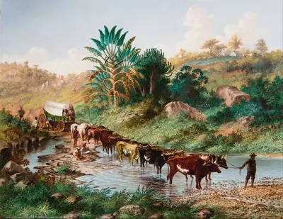 Повозка, пересекающая поток – Натал by Томас Бейнс, 1874 — digital art print download