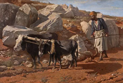 Плуг и мул с феллахом by Шарль Верлат, 1876 — digital art print download