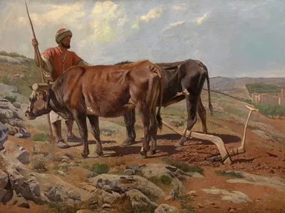 Плуговые быки с феллахом by Шарль Верлат, 1877 — digital art print download