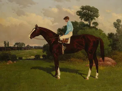 Nasturtium with Jockey Up by Henry Stull, 1901 — digital art print download