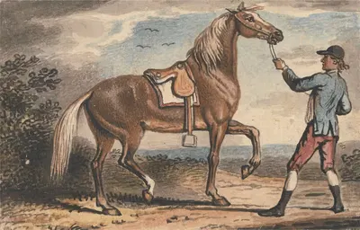 Stable Boy Holding a Horse in a Landscape by John Collet — digital art print download