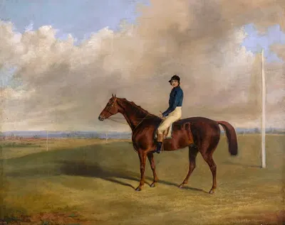 A racehorse with jockey up by George Henry Laporte — digital art print download
