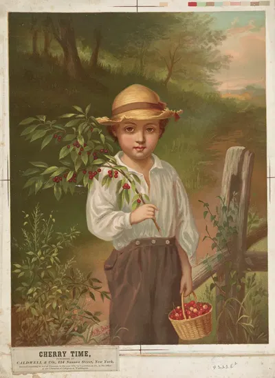 Время вишен by Кэлдвелл и Ко, 1874 — digital art print download