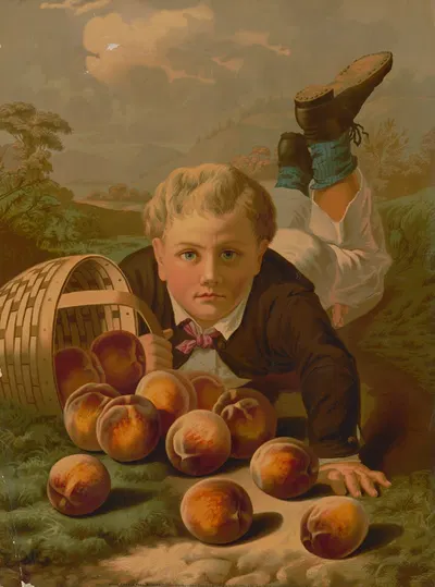Более чем полная корзина by Кэлдвелл и Ко, 1874 — digital art print download