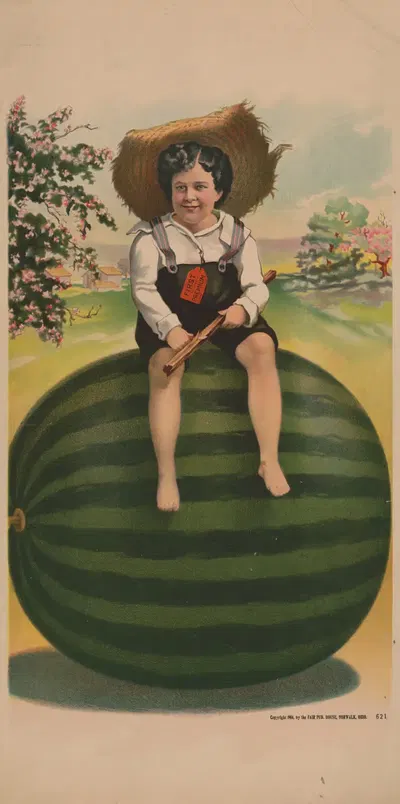 Ребёнок в соломенной шляпе, сидящий на арбузе by Фэр Паб. Хаус, 1900 — digital art print download